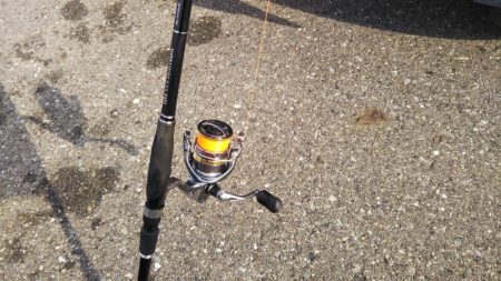 久しぶりのチヌ