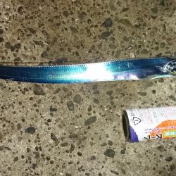 台風後の様子見て来ました。