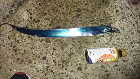 台風後の様子見て来ました。