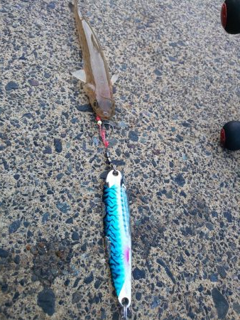 ロングテンションフォール