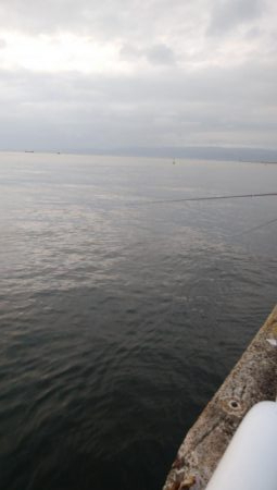 夕まずめタチウオ釣行