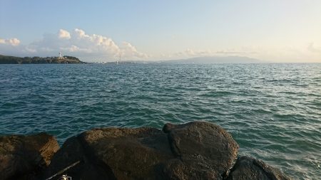 本命ヒラマサは確保できませんでしたが。