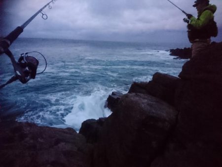 雄島の青物(ツバス)