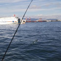 コスモまだ行けるやん!