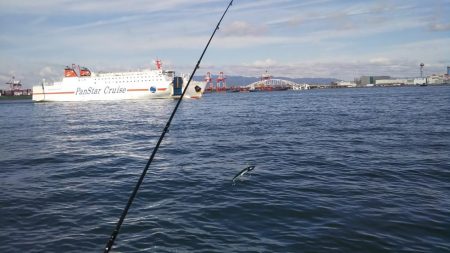 コスモまだ行けるやん!