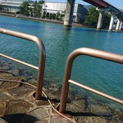 エギンク&シーバス&キス釣り