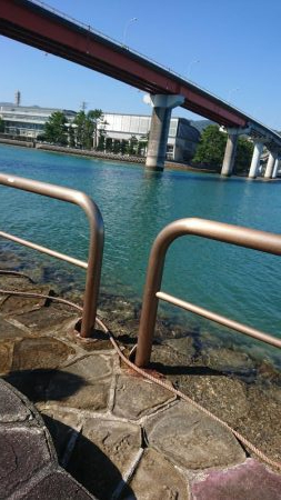 エギンク&シーバス&キス釣り