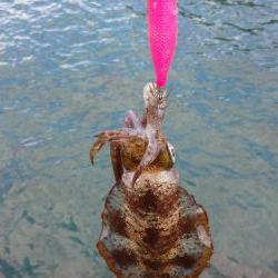 エキング大会にて