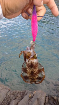 エキング大会にて