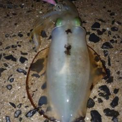 エキングパーティー参加