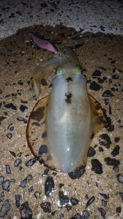 エキングパーティー参加