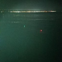 タチウオ釣れたけど