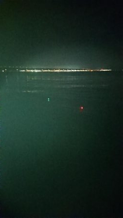 タチウオ釣れたけど