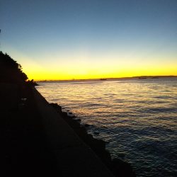 はじめて釣りました(カマス)