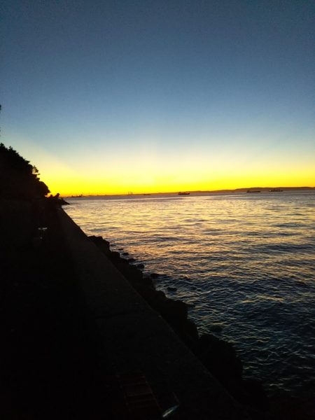 はじめて釣りました(カマス)