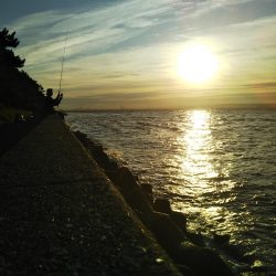 またしても大型熱帯低気圧が近づいています