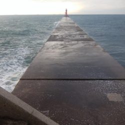 暴風雨の播磨新島でキス爆釣