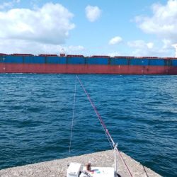 昨日より西風強い播磨新島釣行