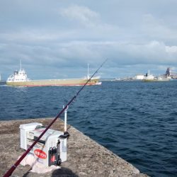 北風強い播磨新島釣行