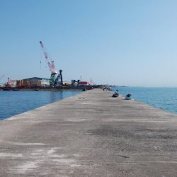 時合い短い播磨新島釣行