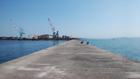 時合い短い播磨新島釣行