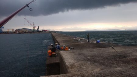 雨の播磨新島で爆釣