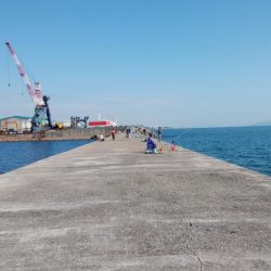 台風接近前の播磨新島釣行