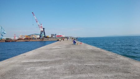 台風接近前の播磨新島釣行