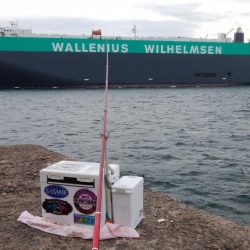 台風接近直前の播磨新島釣行