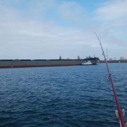 台風通過後の播磨新島釣行