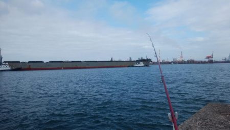 台風通過後の播磨新島釣行