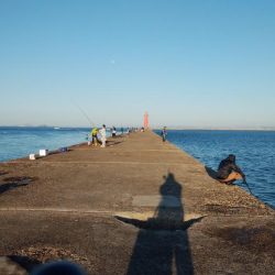 キスが消えた播磨新島釣行