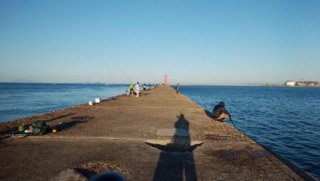 キスが消えた播磨新島釣行