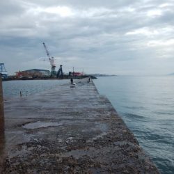 活性が戻り始めた播磨新島釣行