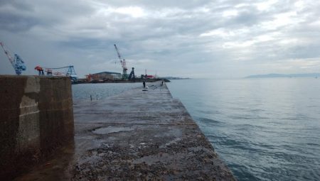 活性が戻り始めた播磨新島釣行