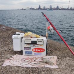 3時間キスのアタリ無い播磨新島釣行