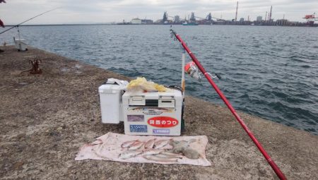 3時間キスのアタリ無い播磨新島釣行