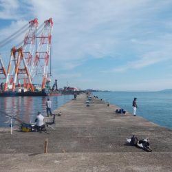 好釣果続く播磨新島釣行