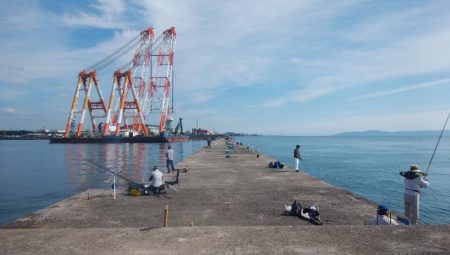 好釣果続く播磨新島釣行