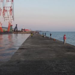 日没前２時間の播磨新島釣行