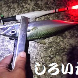 和歌山帰りに寄り道