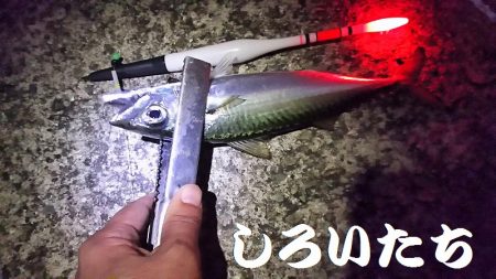 和歌山帰りに寄り道