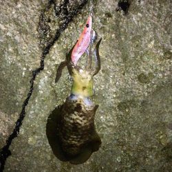 今秋4回目の丹後半島