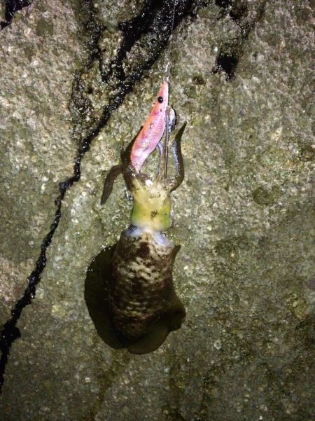 今秋4回目の丹後半島