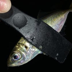 アーバンサイドアジング