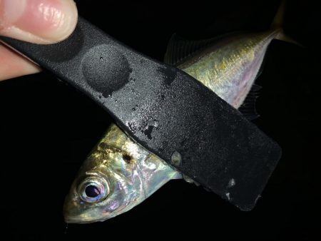 アーバンサイドアジング