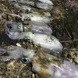 小雨の中４００とどかず