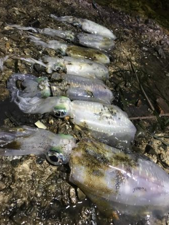 小雨の中４００とどかず