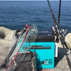 小潮の方が、、