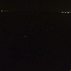 めげずにタチウオ釣行